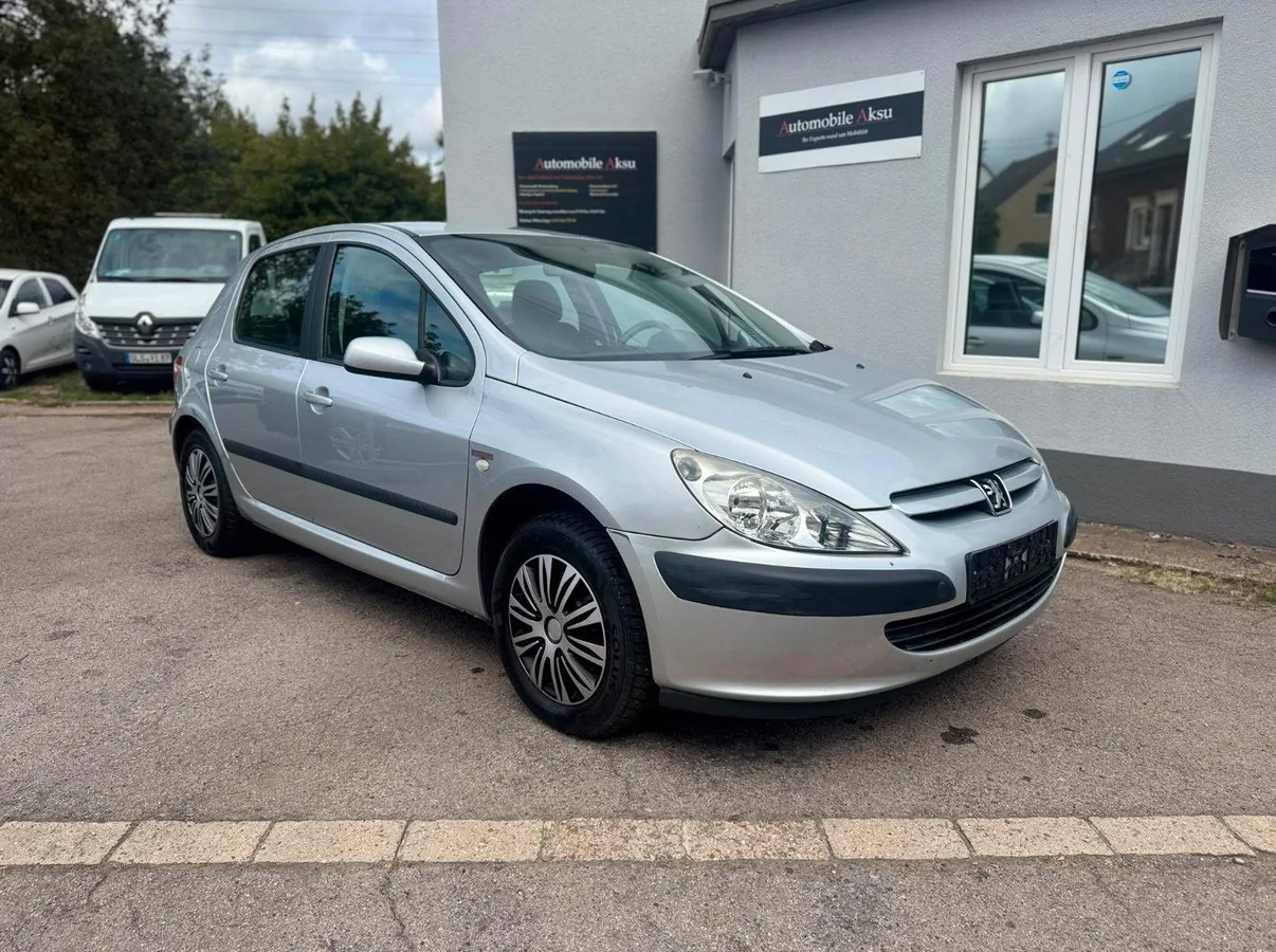 Peugeot 307 Foto 1