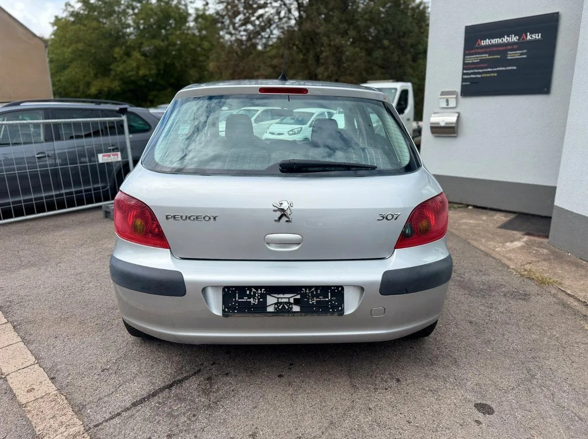 Peugeot 307 Foto 5